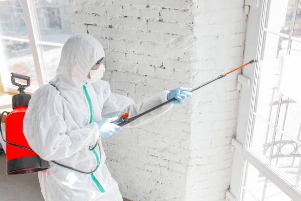 Best Asbestos and Lead Testing During Mold Inspection in Porterdale, GA